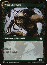 Bird Admirer // Wing Shredder (298) - Innistrad: Midnight Hunt (MID)