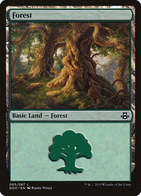 Forest (65) - Duel Decks: Elspeth vs. Kiora (DDO)