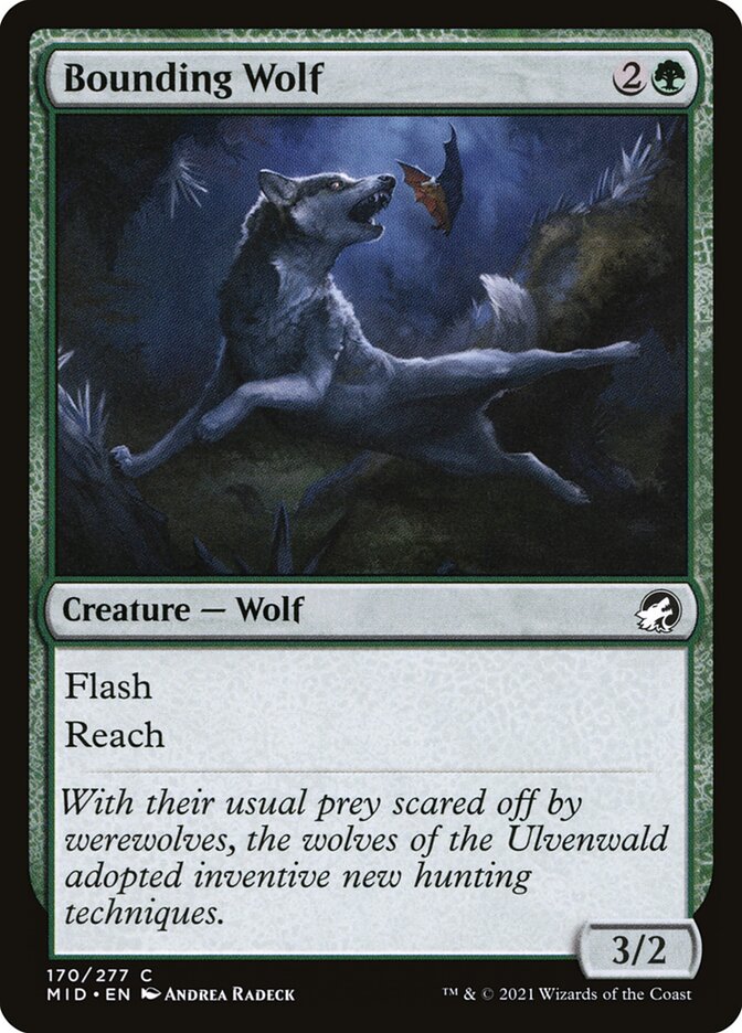 Bounding Wolf (170) - Innistrad: Midnight Hunt (MID)