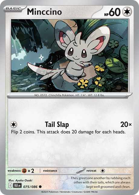 Minccino (75/86) - Black Bolt (BLK)