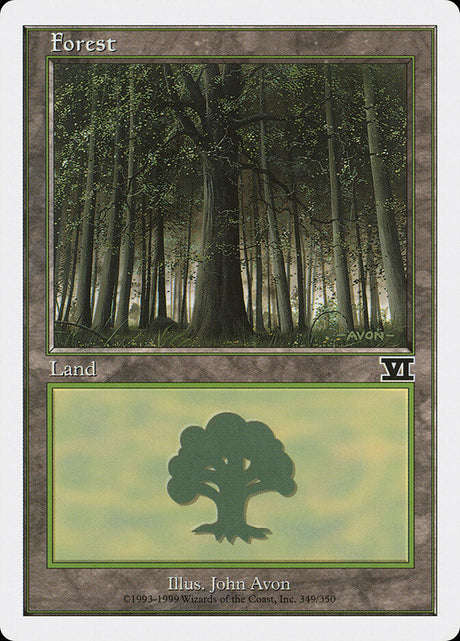 Forest (349) - Classic Sixth Edition (6ED)