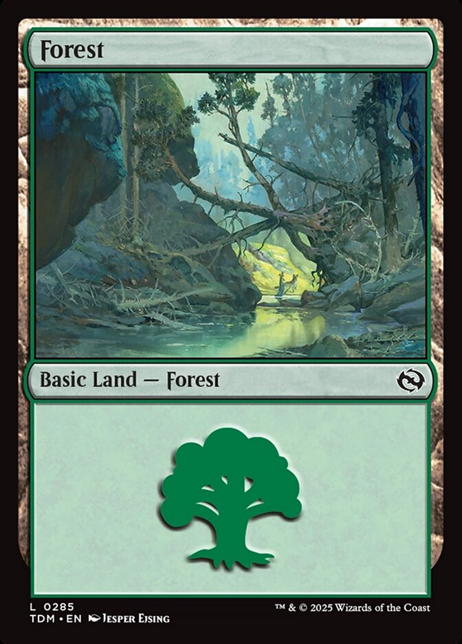 Forest (285) - Tarkir: Dragonstorm (TDM)