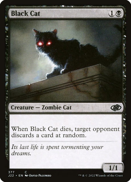 Black Cat (377) - Jumpstart 2022 (J22)