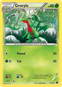 Grovyle (7) - Plasma Freeze (PLF)