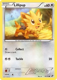 Lillipup (81) - Black and White (BLW)