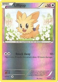 Lillipup (BW52) - Black and White Promos (PR)