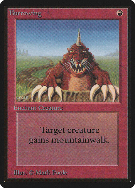 Burrowing (139) - Limited Edition Beta (LEB)