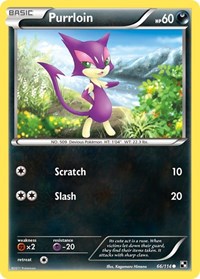 Purrloin (66) - Black and White (BLW)