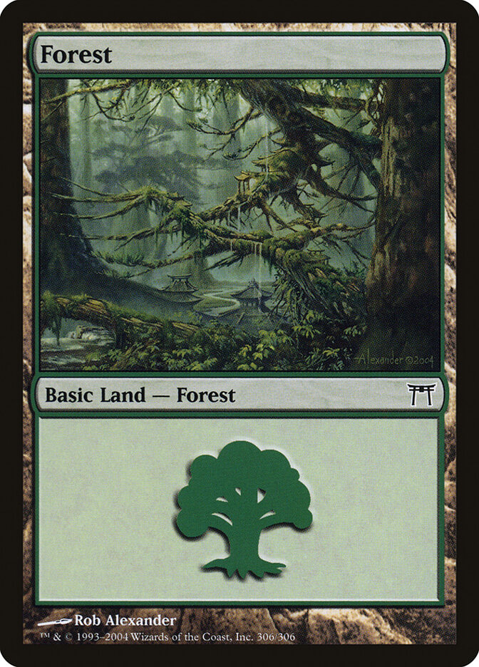 Forest (306) - Champions of Kamigawa (CHK)