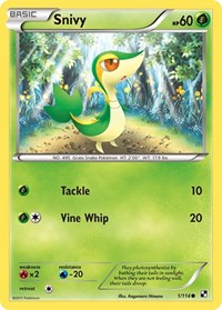 Snivy (1) - Black and White (BLW)