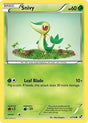 Snivy (2) - Black and White (BLW)