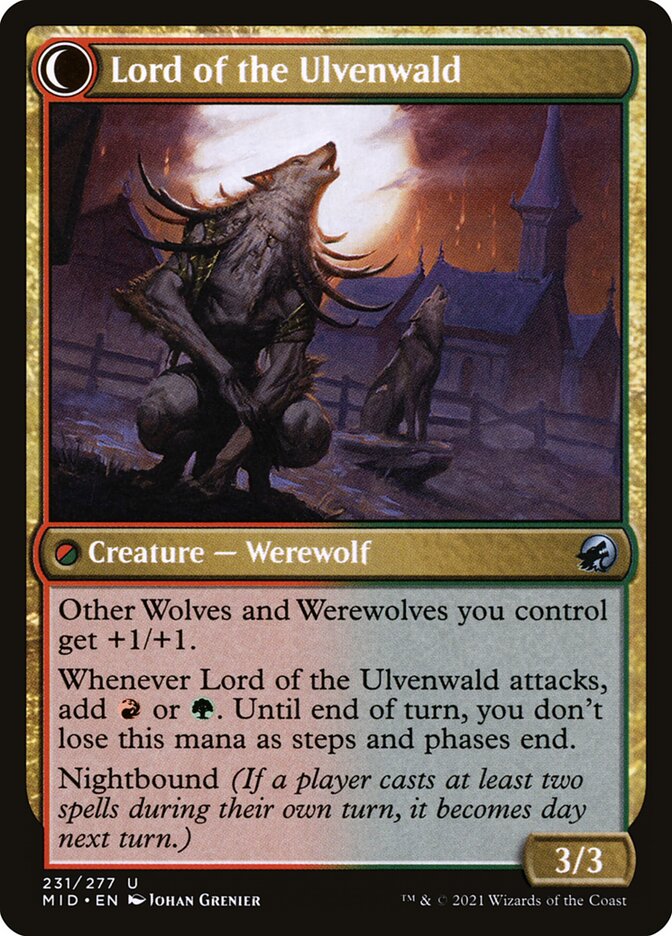 Kessig Naturalist // Lord of the Ulvenwald (231) - Innistrad: Midnight Hunt (MID)