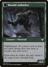 Oakshade Stalker // Moonlit Ambusher (212) - Innistrad: Crimson Vow (VOW)