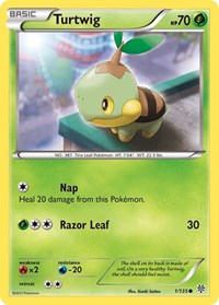 Turtwig (1) - Plasma Storm (PLS)