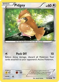 Pidgey (75) - XY - Flashfire (FLF)