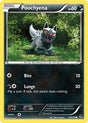 Poochyena (53) - XY - Phantom Forces (PHF)