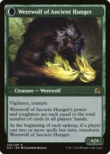 Sage of Ancient Lore // Werewolf of Ancient Hunger (225) - Shadows over Innistrad (SOI)