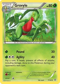 Grovyle (7) - XY - Primal Clash (PRC)
