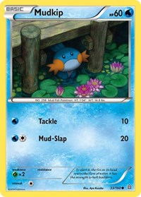 Mudkip (33) - XY - Primal Clash (PRC)