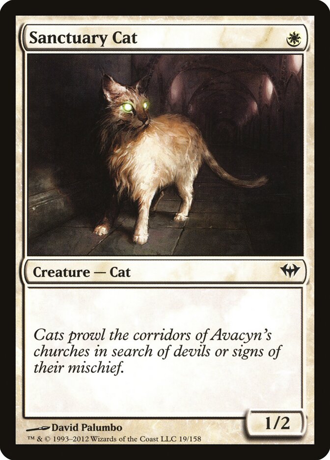 Sanctuary Cat (19) - Dark Ascension (DKA)