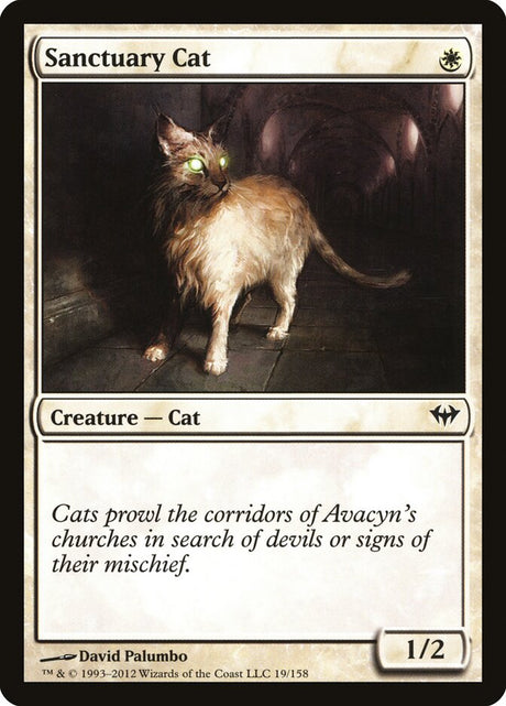 Sanctuary Cat (19) - Dark Ascension (DKA)