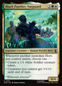 Black Panther, Vanguard (207) - Marvel Super Heroes (MSH)
