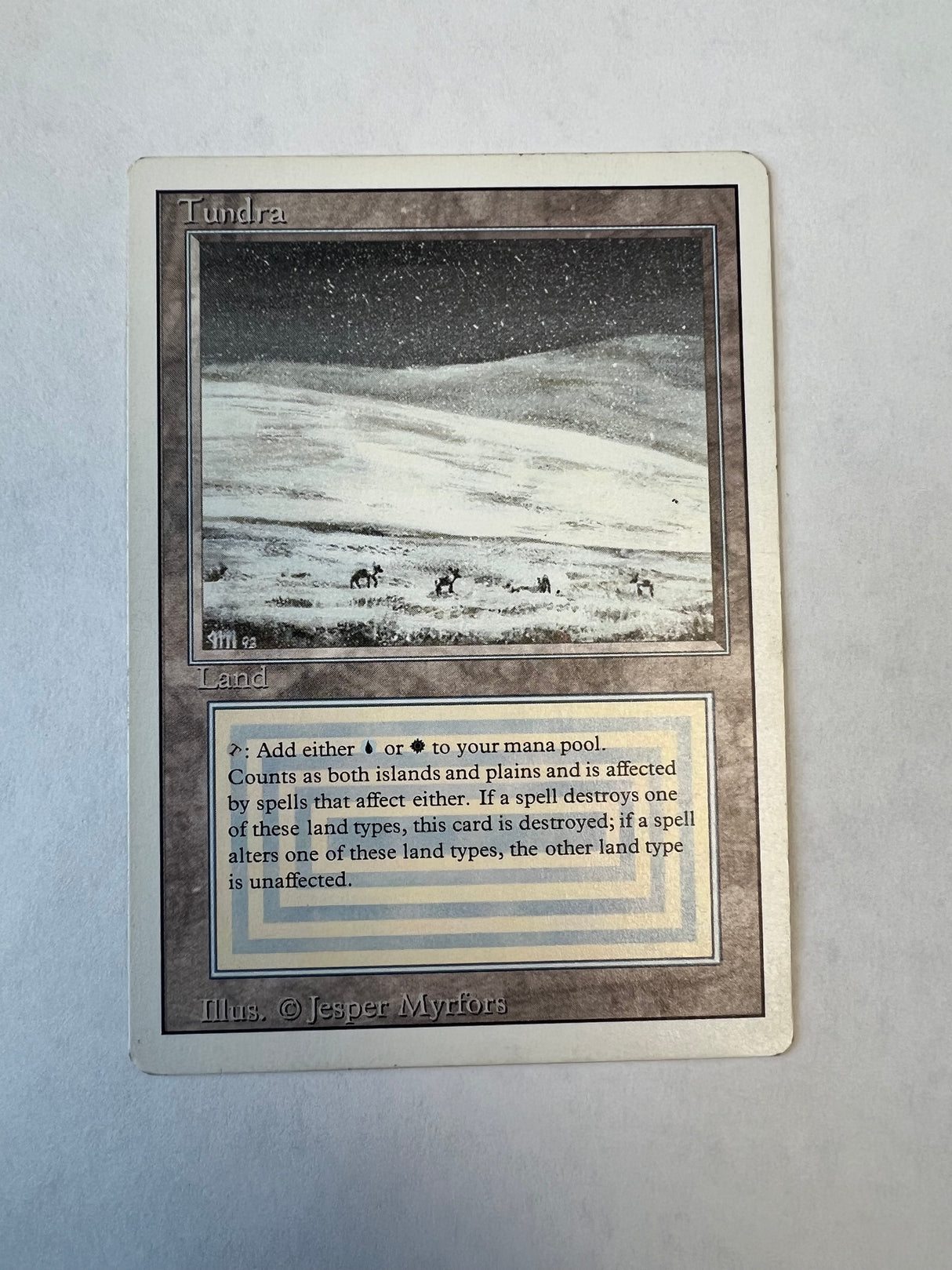 Tundra - [#2504] Revised Edition (3ED)