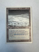 Tundra - [#2504] Revised Edition (3ED)