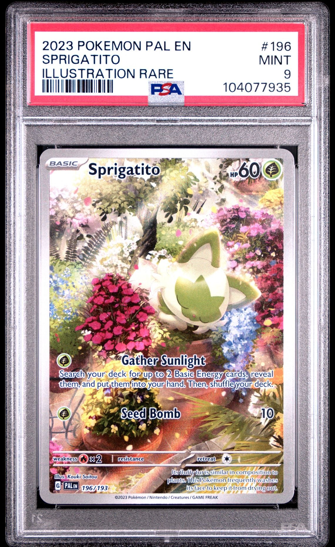 Sprigatito Illustration Rare #196 - [Graded PSA 9] Paldea Evolved