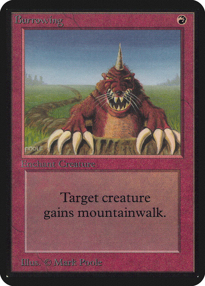 Burrowing (138) - Limited Edition Alpha (LEA)