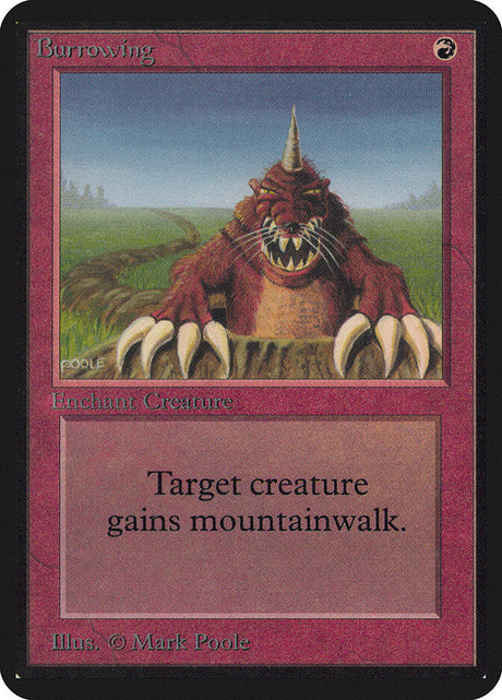 Burrowing (138) - Limited Edition Alpha (LEA)