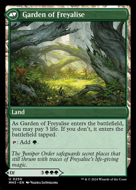 Disciple of Freyalise // Garden of Freyalise (250) - Modern Horizons 3 (MH3)