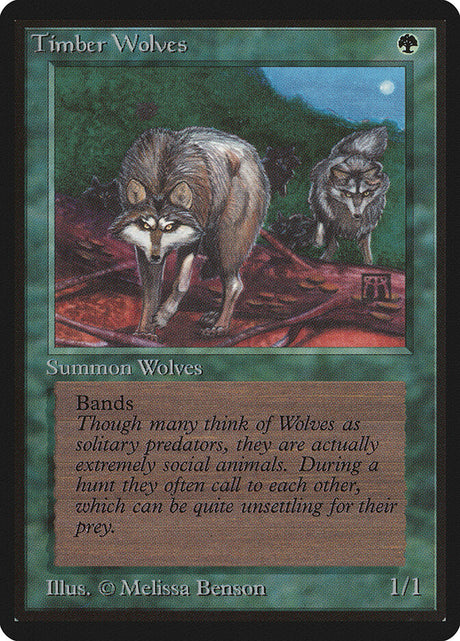 Timber Wolves (220) - Limited Edition Beta (LEB)
