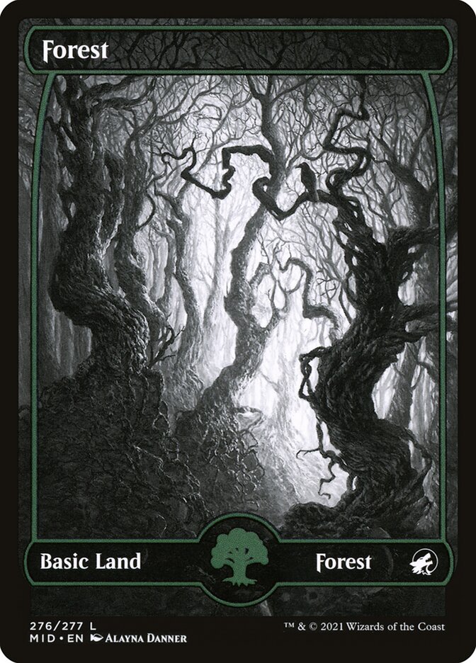 Forest (276) - Innistrad: Midnight Hunt (MID)