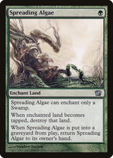 Spreading Algae (281) - Eighth Edition (8ED)