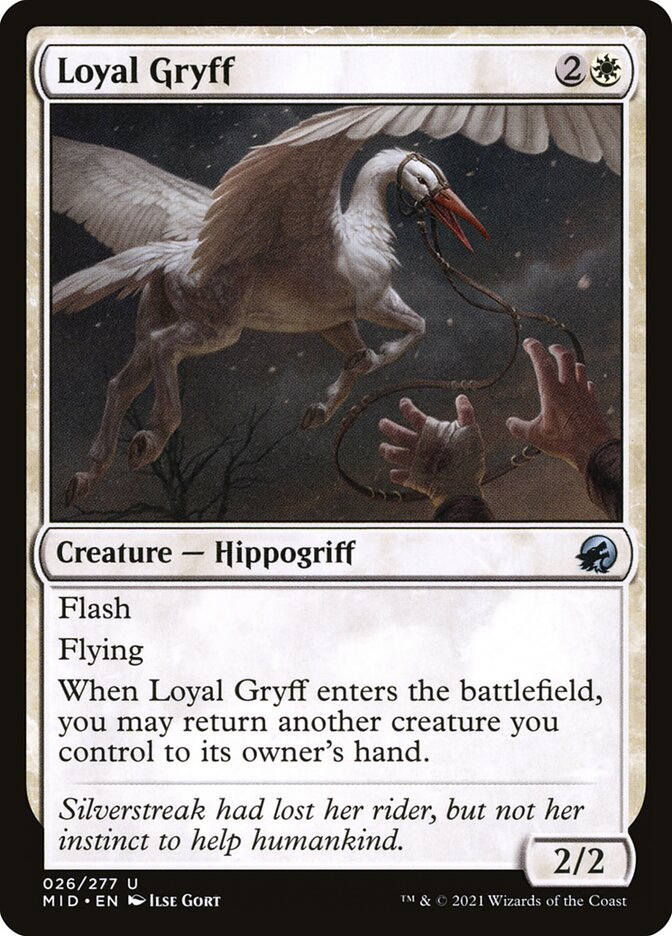 Loyal Gryff (26) - Innistrad: Midnight Hunt (MID)