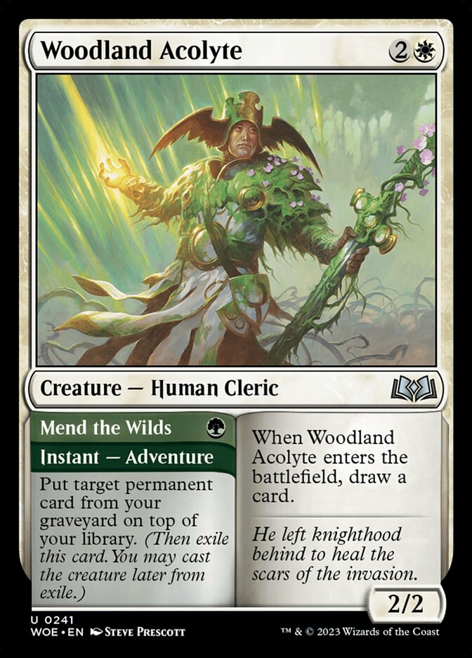Woodland Acolyte // Mend the Wilds (241) - Wilds of Eldraine (WOE)