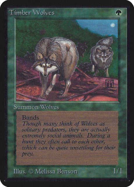 Timber Wolves (219) - Limited Edition Alpha (LEA)