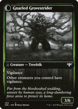 Dormant Grove // Gnarled Grovestrider (465) - Innistrad: Double Feature (DBL)