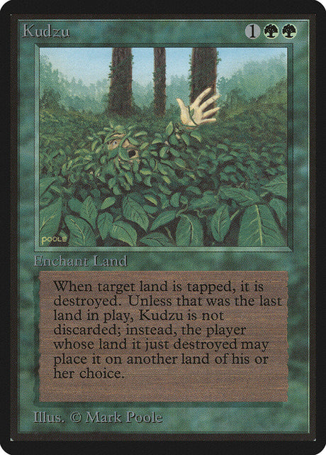 Kudzu (205) - Limited Edition Beta (LEB)