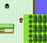 Pokemon Silver - Game Boy Color