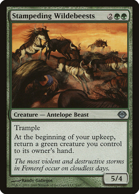 Stampeding Wildebeests (9) - Duel Decks: Garruk vs. Liliana (DDD)