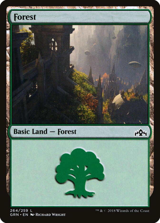 Forest (264) - Guilds of Ravnica (GRN)