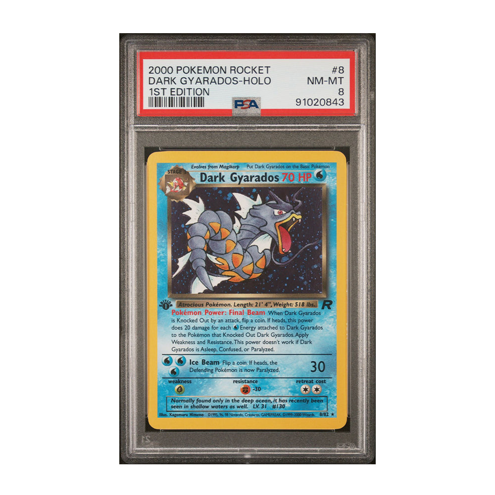 Dark Gyarados (8) - 1st Edition - [Holo, Graded PSA 8]