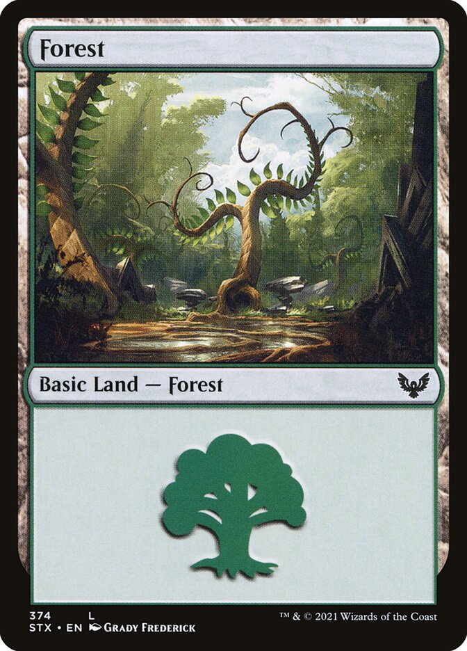 Forest (374) - Strixhaven: School of Mages (STX)