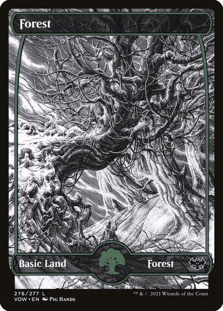 Forest (276) - Innistrad: Crimson Vow (VOW)