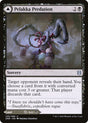 Pelakka Predation // Pelakka Caverns (120) - Zendikar Rising (ZNR)