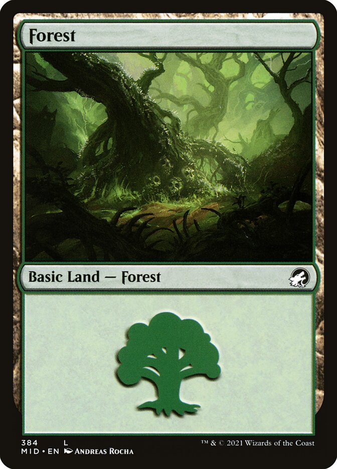 Forest (384) - Innistrad: Midnight Hunt (MID)
