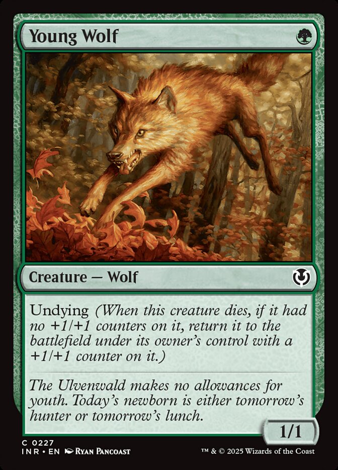 Young Wolf - [Foil] Innistrad Remastered (INR)