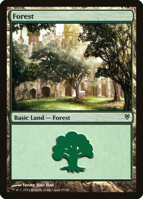 Forest (85) - Duel Decks: Jace vs. Vraska (DDM)